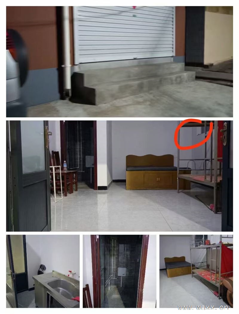 武安市第二中东边桃园街